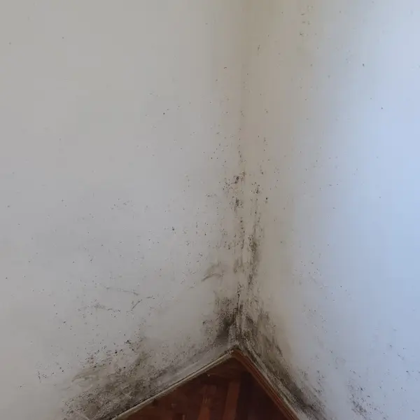 Antes: hongos y humedad en la esquina de un dormitorio — trabajo de CleanFach