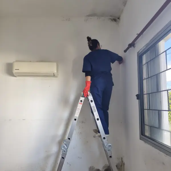 Limpieza de moho en pared y techo — trabajo de CleanFach