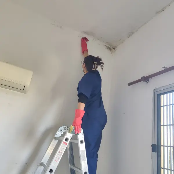 Tratamiento de hongos en el techo de un dormitorio — trabajo de CleanFach